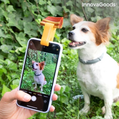 Smartphone com escova amarela a tirar foto a cão branco e castanho num jardim