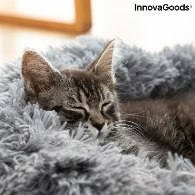 Gato cinzento a dormir numa cama felpuda cinzenta