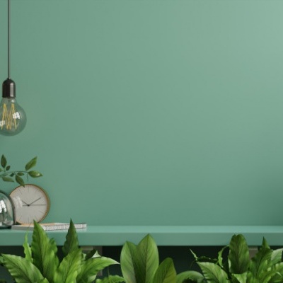 Prateleira verde com plantas, candeeiros pendentes e relógio numa parede verde