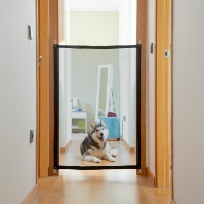 Porta de segurança de rede preta numa porta de madeira clara com cão Husky deitado
