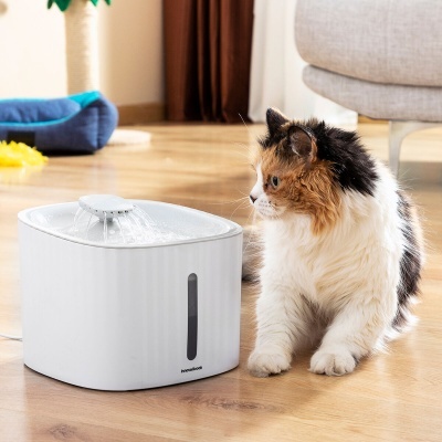 Fonte de água automática branca para gato ao lado de gato tricolor em chão de madeira