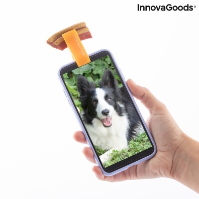 Smartphone com foto de cão Border Collie e acessório de esponjas laranja no topo