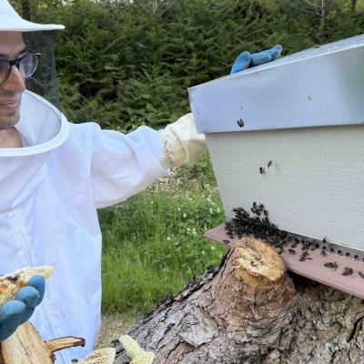 Pessoa com fato de apicultor inspecionando colmeia com abelhas e favos de mel