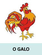 O Galo