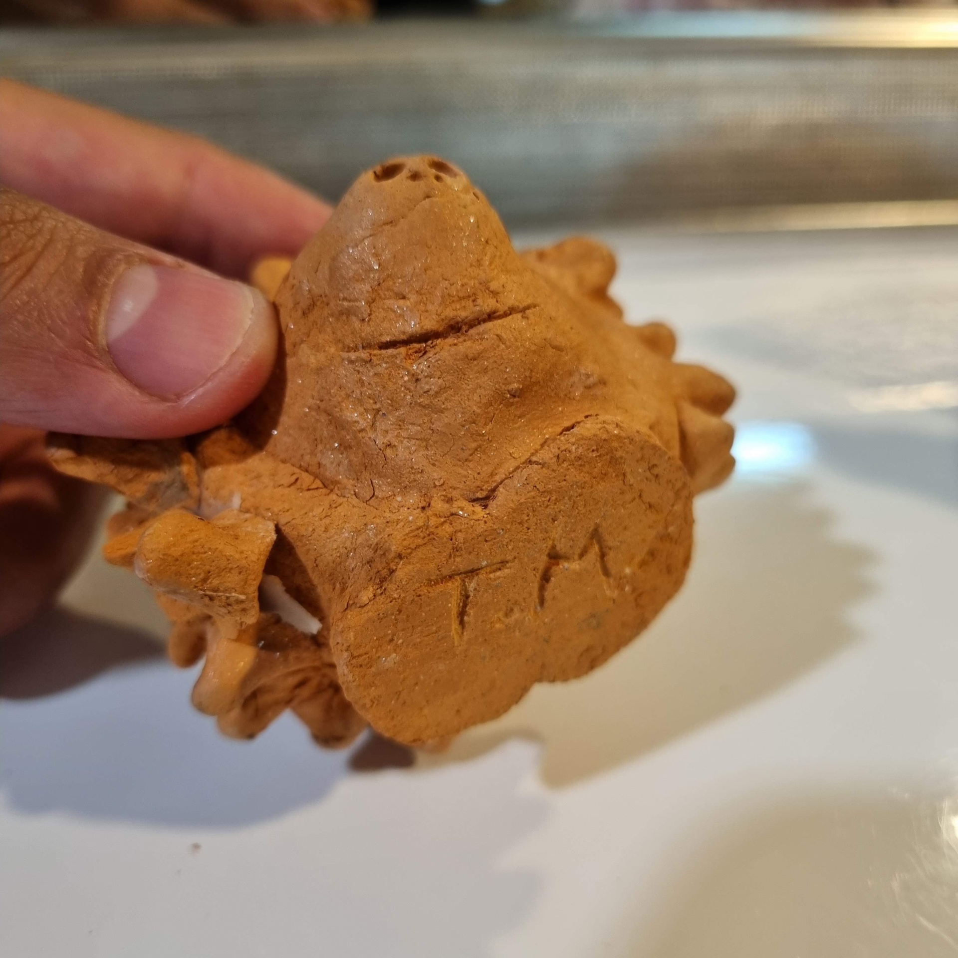 ouri&ccedil;o cacheiro