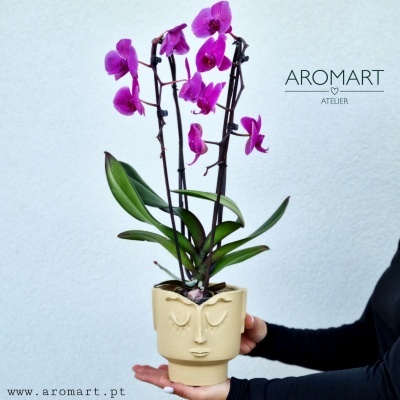 Vaso bege em formato de rosto com orquídea rosa e folhas verdes, mãos segurando, fundo branco