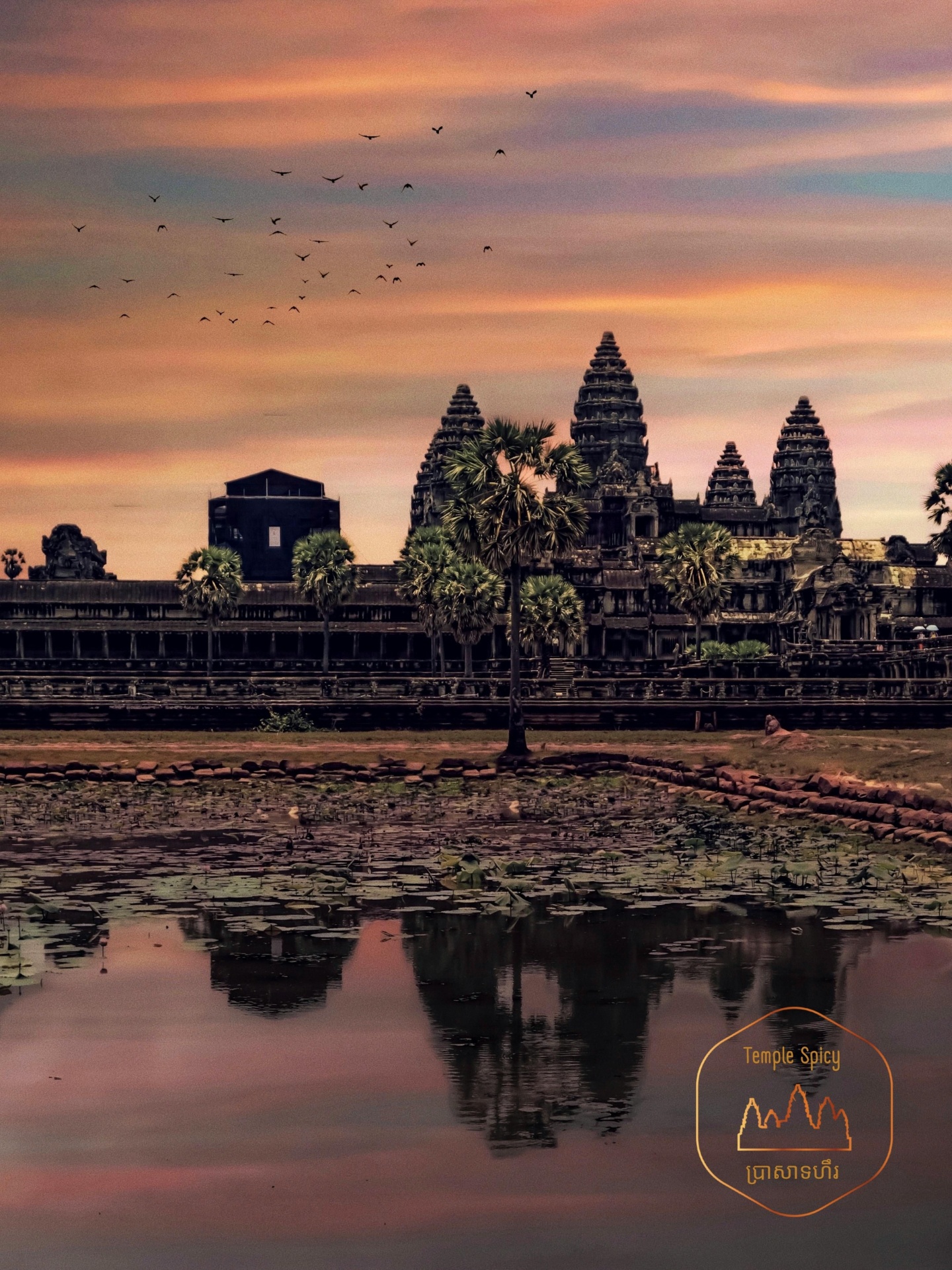 Sobre a Temple Spicy