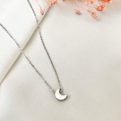 Colar prateado com pendente de lua crescente e flores secas cor de rosa