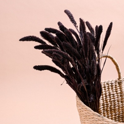 Cesto de ráfia com flores secas pretas em fundo rosa claro