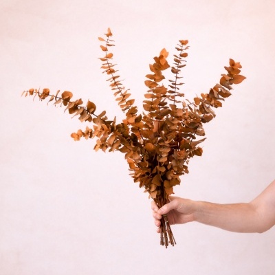 Mão segurando ramo de folhas secas alaranjadas sobre fundo claro
