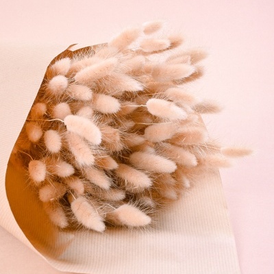 Ramo de flores secas creme-rosadas envolto em papel castanho claro