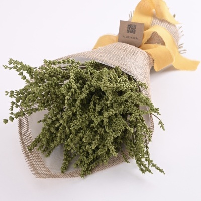 Bouquet de flores verdes secas envolto em papel de juta com fita amarela e etiqueta TERRACOTTA
