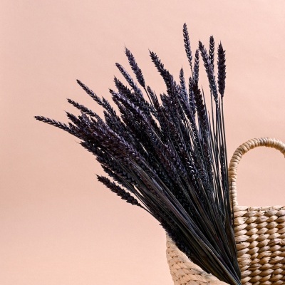 Cesto de palha com flores secas pretas em fundo rosa