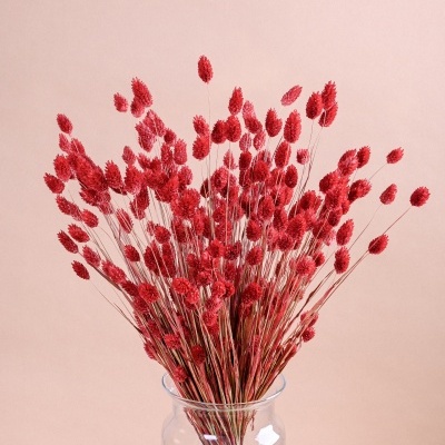 Ramo de flores secas vermelhas em vaso de vidro