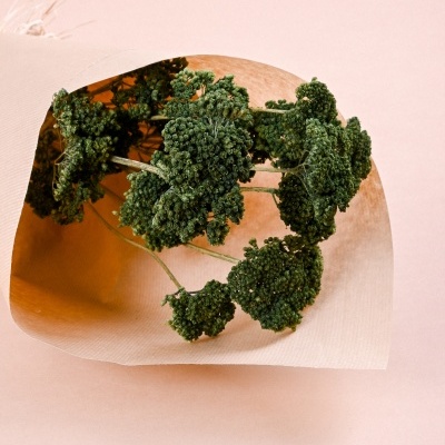 Ramo de aipo verde embrulhado em papel castanho