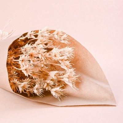 Ramo de flores secas creme e castanho claro em papel castanho sobre fundo rosa claro