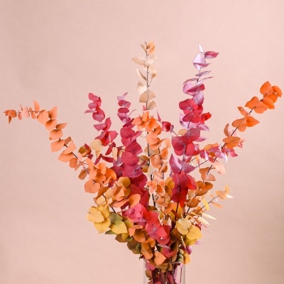 Ramo de folhagem seca colorida num vaso de vidro