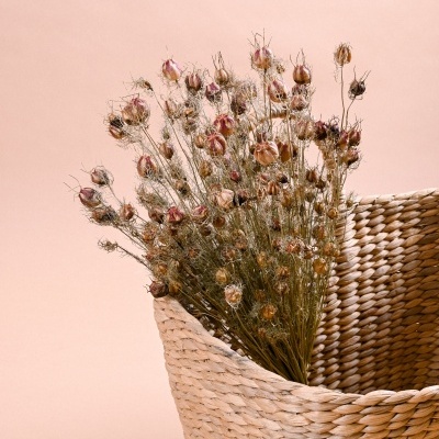 Cesto de fibras naturais com flores secas em fundo rosa