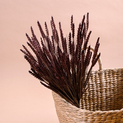 Cesto de palha com raminhos castanhos escuros secados