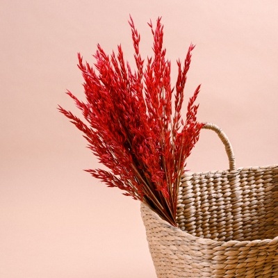 Cesto trançado natural com ramo de ervas vermelhas secas