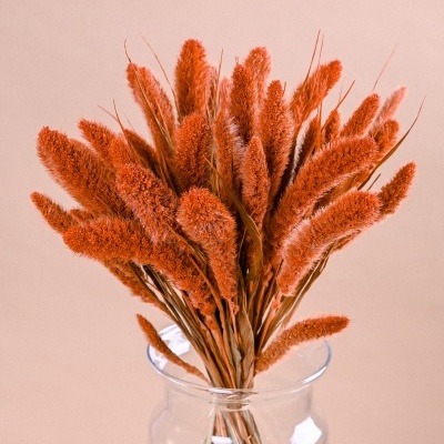 Ramo de flores secas laranja em vaso de vidro