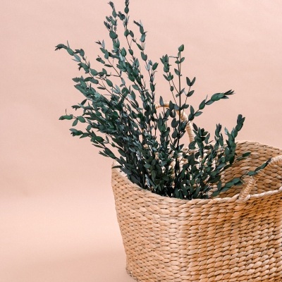 Cesto de armazenamento com galhos verdes sobre fundo rosa