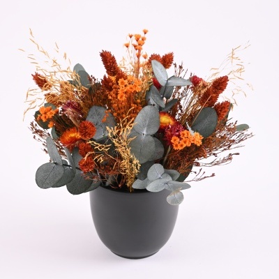 Arranjo de flores secas com vaso preto em fundo branco
