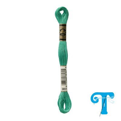 Skein de linha de bordar DMC verde com etiquetas e código de barras