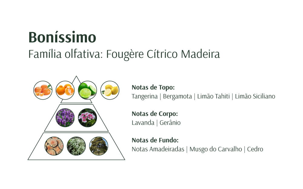 Diagrama com notas olfativas do perfume Boníssimo, mostrando ingredientes cítricos, florais e amadeirados.