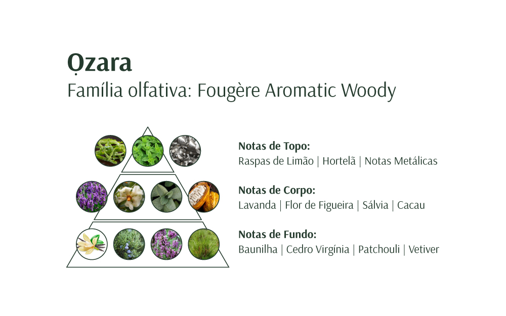 Pirâmide olfativa do perfume Ozara com notas topo, corpo e fundo.