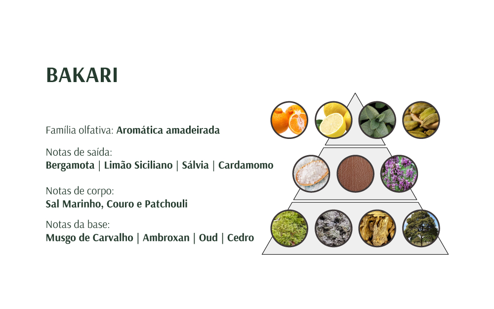 Descrição das notas olfativas do perfume BAKARI com imagens das essências correspondentes