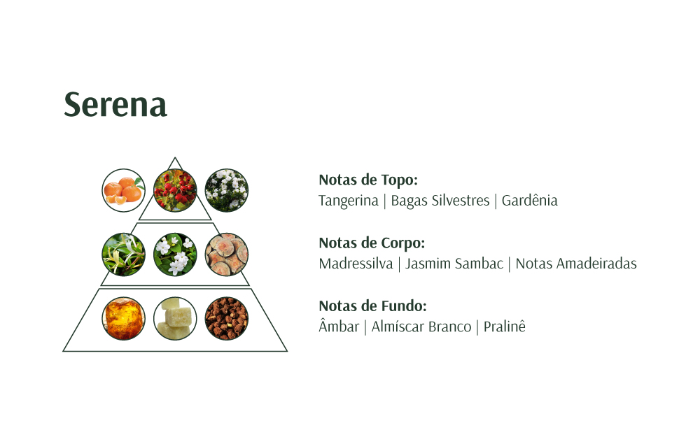 Pirâmide de fragrâncias do perfume Serena com notas de topo, corpo e fundo descritas em texto.
