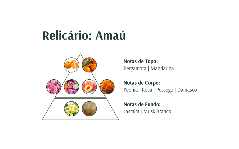 Pirâmide de notas de fragrância com imagens e descrições em português
