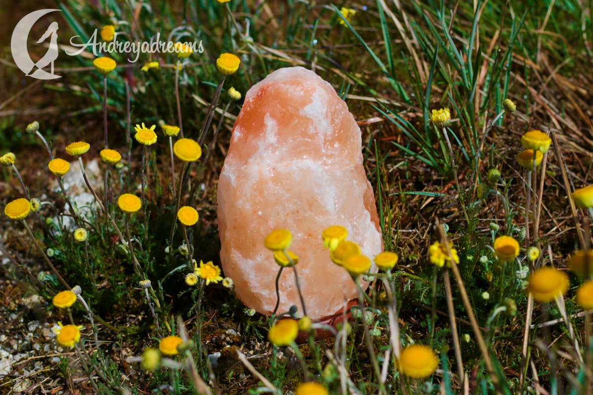 Candeeiro de Pedra de Sal dos Himalias Pedra de sal rosa entre flores amarelas e relva