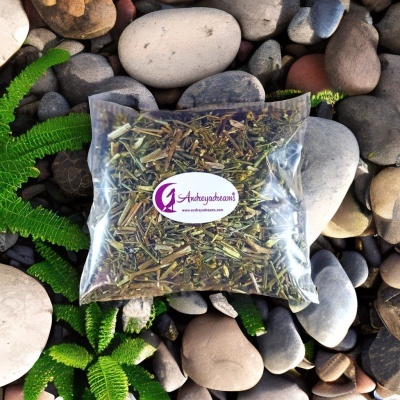 Saco transparente com ervas secas sobre pedras e plantas verdes