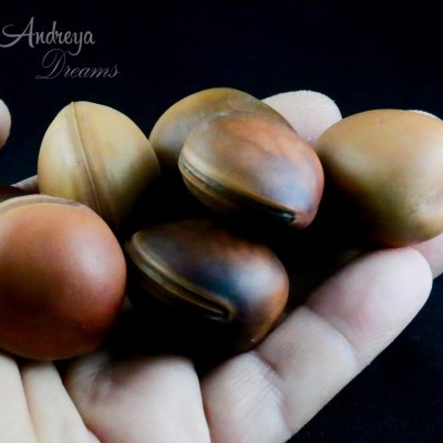 Mão com sementes castanhas ovais e texto 'Andreya Dreams'