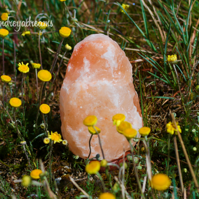 Pedra de sal rosa entre flores amarelas e relva