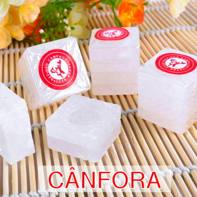 Blocos brancos translúcidos de cânfora com selo vermelho do Deer Brand sobre base de bambu e flores