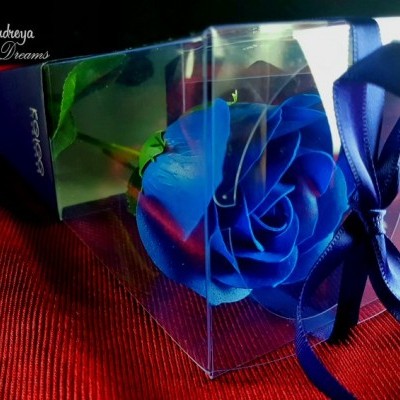 Rosa azul artificial numa caixa transparente com laço azul sobre tecido vermelho