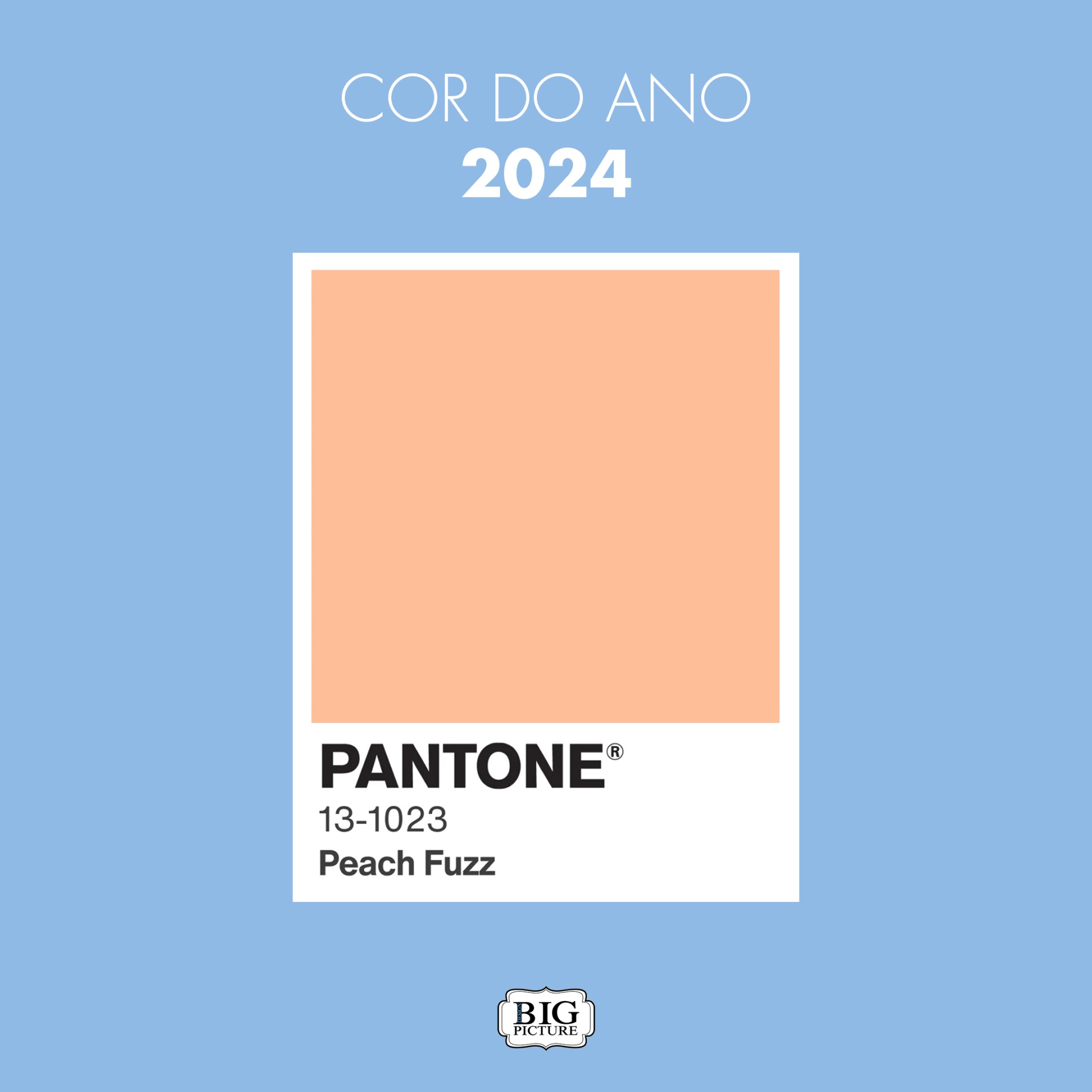 Cartão Pantone cor do ano 2024 Peach Fuzz