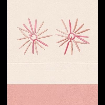 Jogo&#x20;de&#x20;Cama&#x20;Microcoralina&#x20;&#x28;MCR&#x20;327&#x29;&#x20;C&#x2F;capa&#x20;Ajust&#x00E1;vel