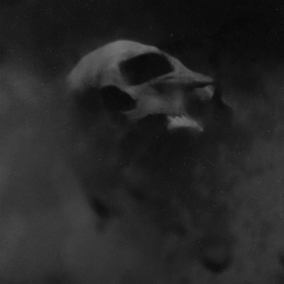 Crânio animal flutuando em névoa escura a preto e branco