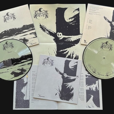 Discos em vinil transparentes verdes com capas e folhas ilustradas em preto e branco com tema de coruja e figura com chapéu