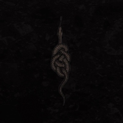 cobra cinza enrolada em nó sobre fundo preto