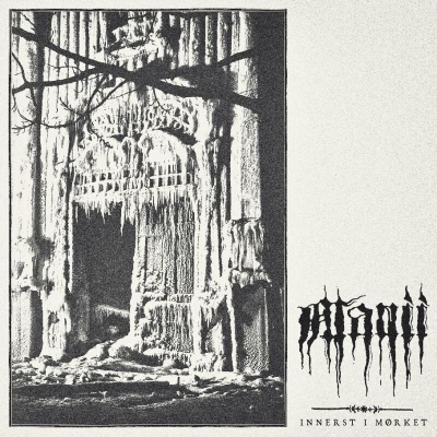 Capa de álbum preta e branca com estrutura congelada e texto WANIR INNERST I MÖRKET