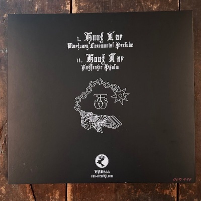 Capa de vinil preta com texto branco em estilo gótico e desenho de mão segurando corrente.