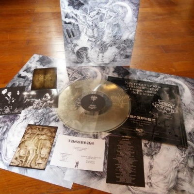 Conjunto de vinil transparente e capas com ilustrações em tons de cinza e branco sobre madeira