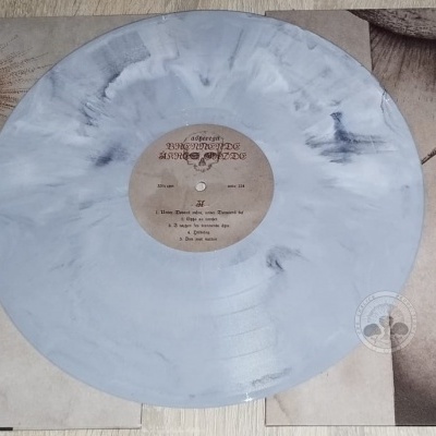 Disco de vinil translúcido cinzento com capa aberta ilustrada com caveiras e esqueletos