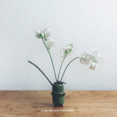 Vaso verde com flores brancas sobre superfície de madeira