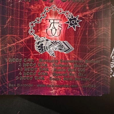 capa de álbum ou CD com logotipo FSU, corrente e texto dourado